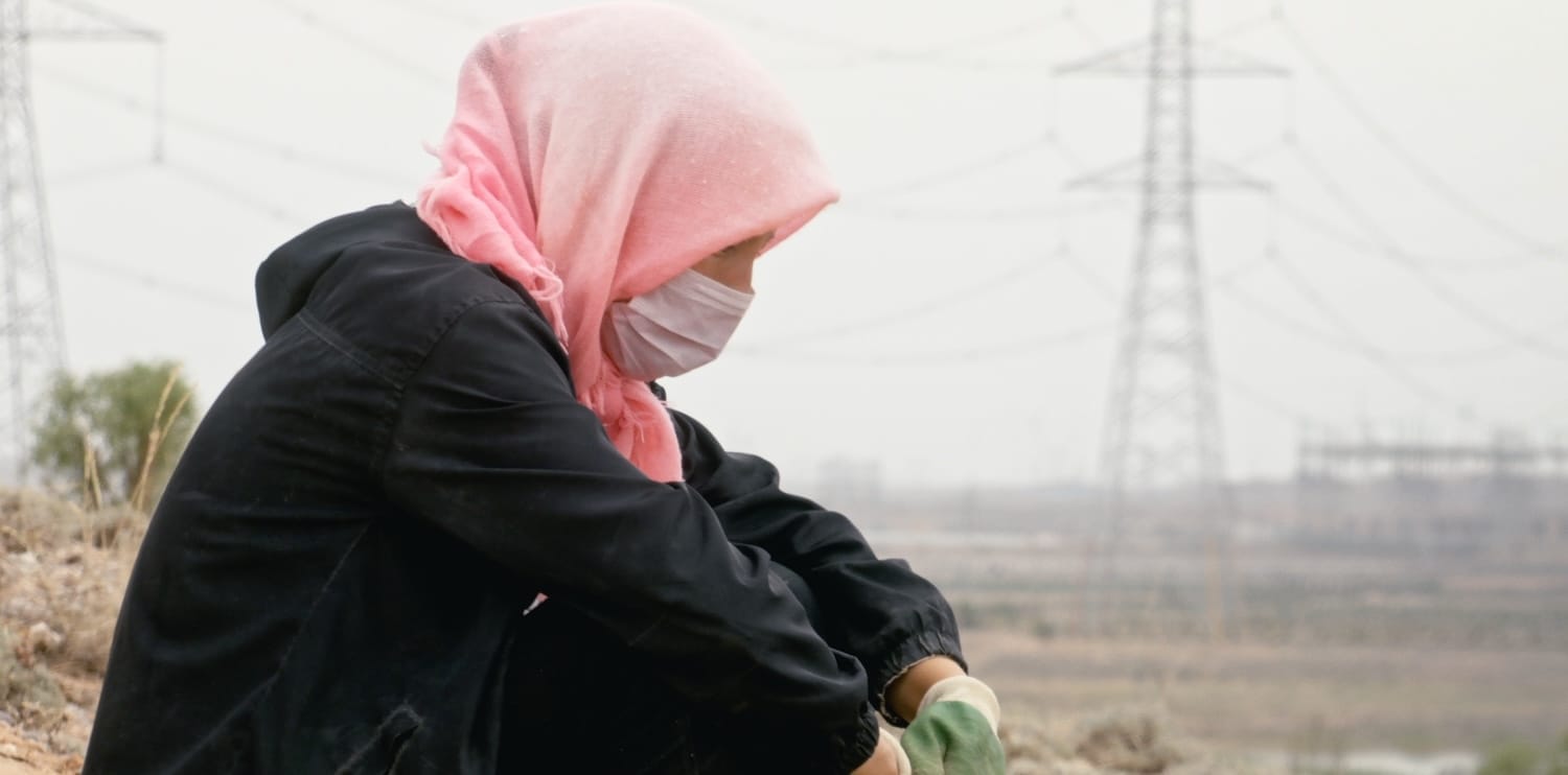 Ningxia : le Fruit né du Désert