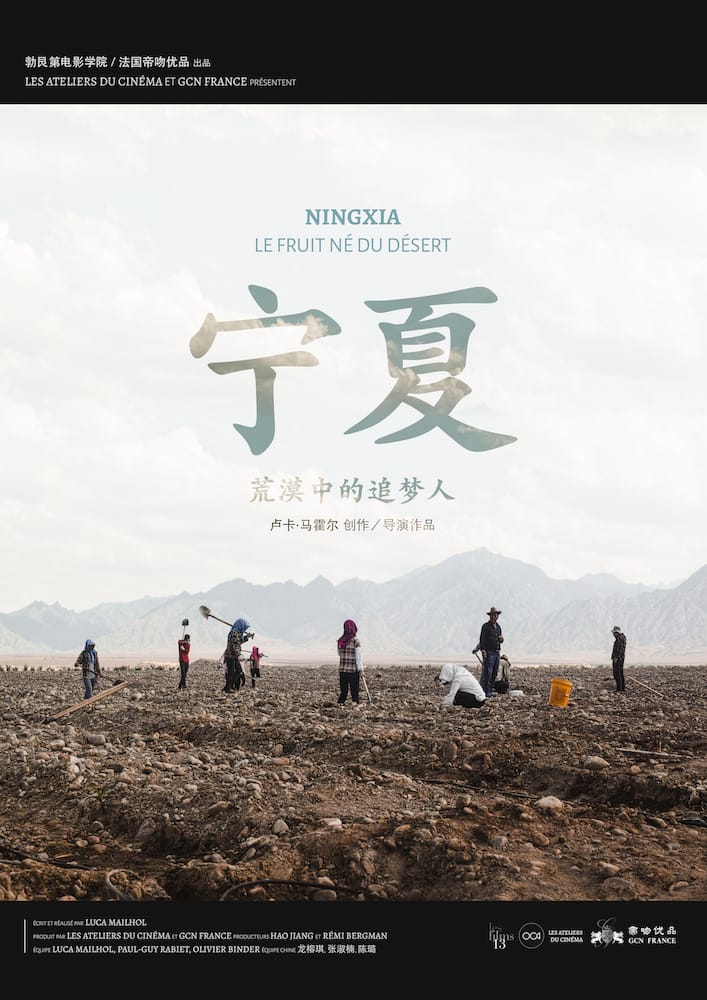 Ningxia : le Fruit né du Désert