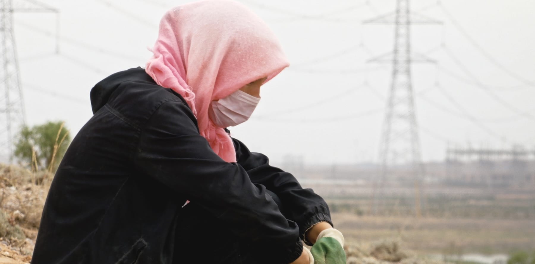 Ningxia : le Fruit né du Désert